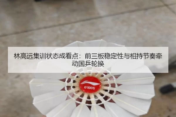 林高远集训状态成看点：前三板稳定性与相持节奏牵动国乒轮换